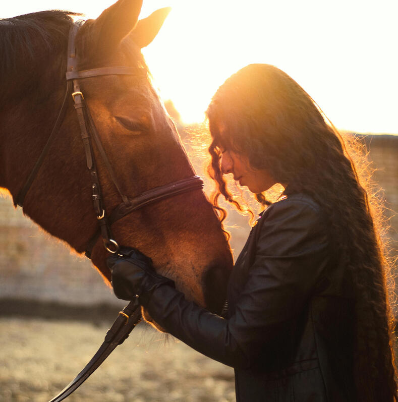 Empresas y Retiros Corporativos